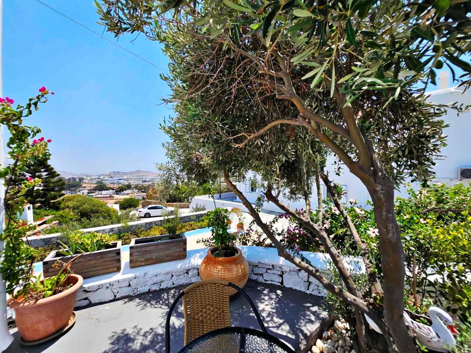 Mykonian Breeze Appartement Ano Mera Buitenkant foto